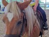 IMG_20240620_104956