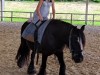 IMG_20240620_113958-1