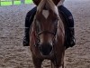 IMG_20240620_115633