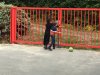 IMG_7049