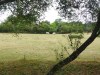IMG_20230703_110544