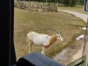 IMG_20230703_110731