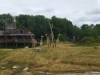 IMG_20230703_110845