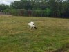 IMG_20230703_111127
