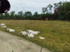 IMG_20230703_111248