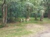 IMG_20230703_111757