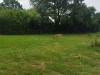 IMG_20230703_112059