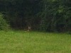 IMG_20230703_112345