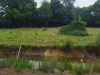 IMG_20230703_112601