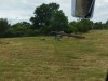 IMG_20230703_113222