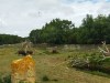 IMG_20230703_113913