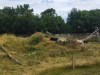IMG_20230703_114053