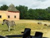 IMG_20230703_114653