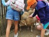 IMG_20230703_124046