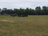 IMG_20230703_130311