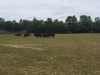 IMG_20230703_130313