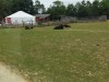 IMG_20230703_130334