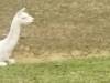 IMG_20230703_131525