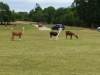 IMG_20230703_131620
