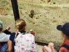 IMG_20230703_135328