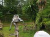 IMG_20230703_140724