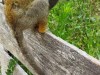 IMG_20230703_142407