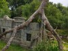 IMG_20230703_143133