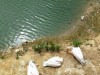 IMG_20230703_144148